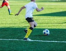 春节北美影,市聚焦华语,影片,188金宝博官网,188bet金宝博,188bet备用网址,188金宝博官网