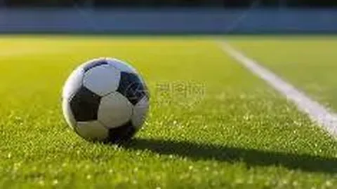 激战正酣！搏托沙尼挑战加拉茨钢铁，谁将脱颖而出，实力一较高下？搏托沙尼优势初显！